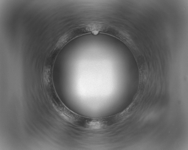X0000056020171200508191337