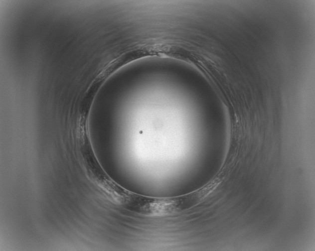 X0000056020172200508191337