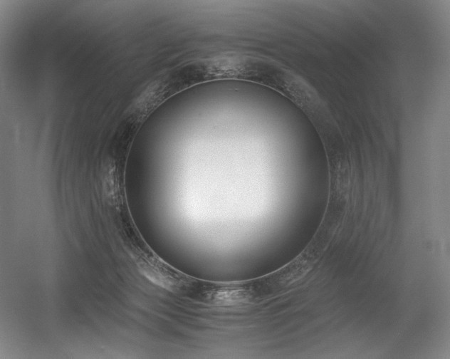 X0000056020173200508191337