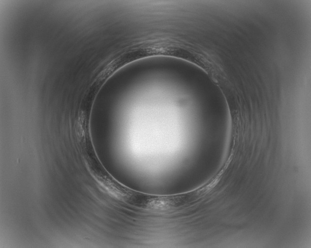 X0000056020174200508191337