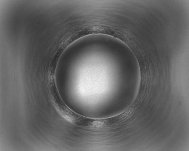 X0000056020176200508191337