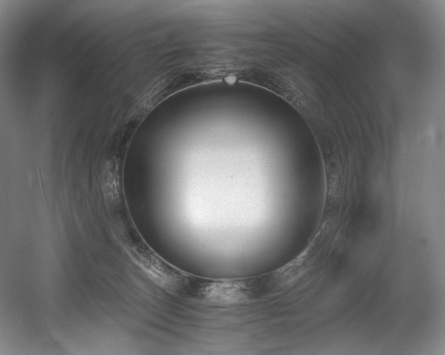X0000056020179200508191337