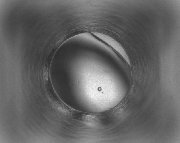 X0000056020180200508191337