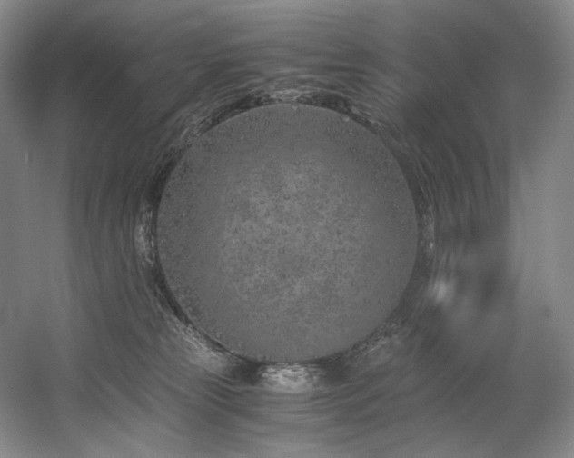 X0000056020181200508191337