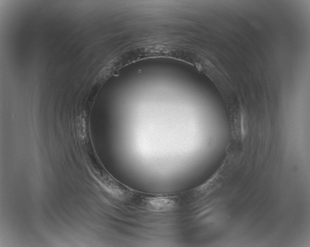 X0000056020183200508191337