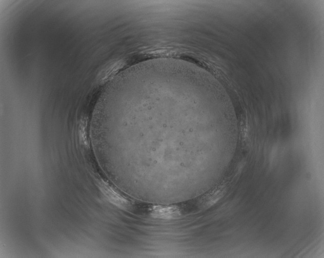 X0000056020185200508191337