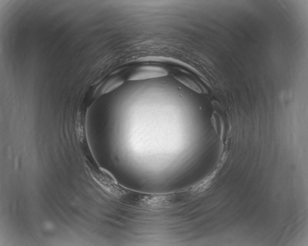X0000056020186200508191337