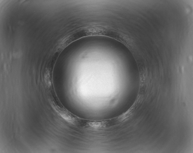 X0000056020187200508191337