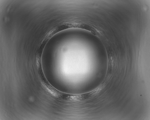X0000056020188200508191337