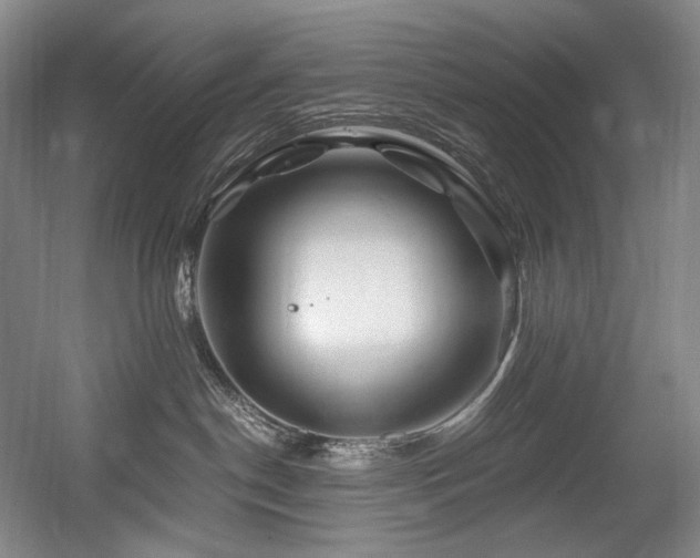 X0000056020190200508191337