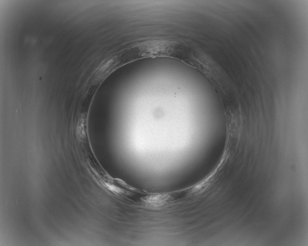 X0000056020191200508191337