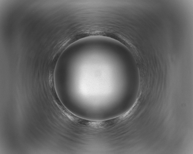 X0000056020192200508191337
