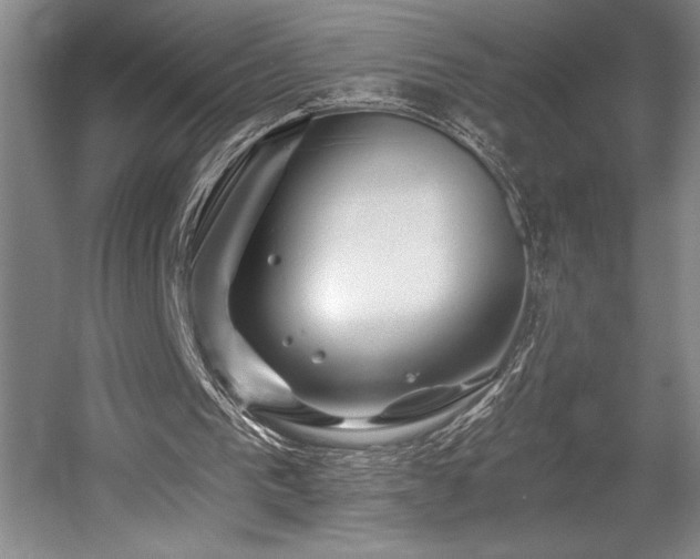 X0000056020193200508191336