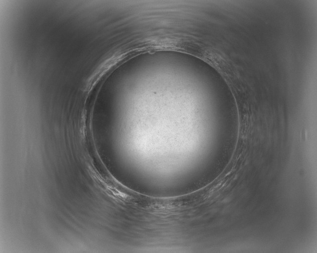 X0000056020194200508191336