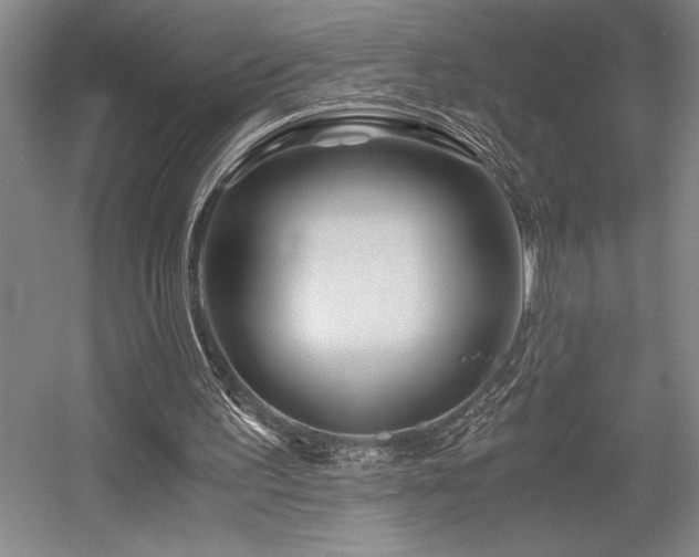 X0000056020195200508191336