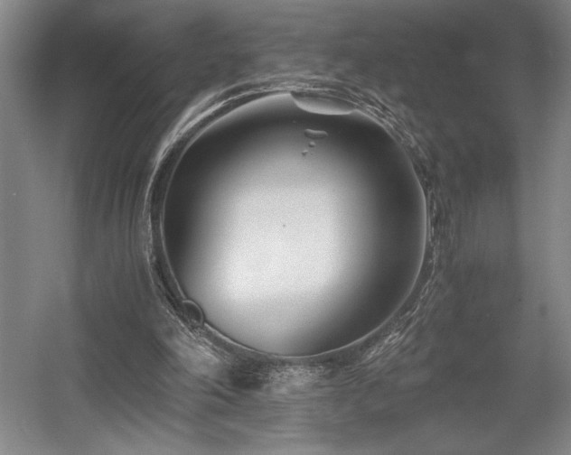 X0000056020198200508191336