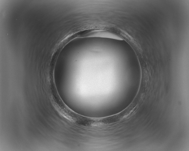 X0000056020203200508191336