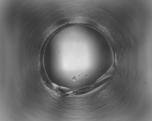 X0000056020204200508191336