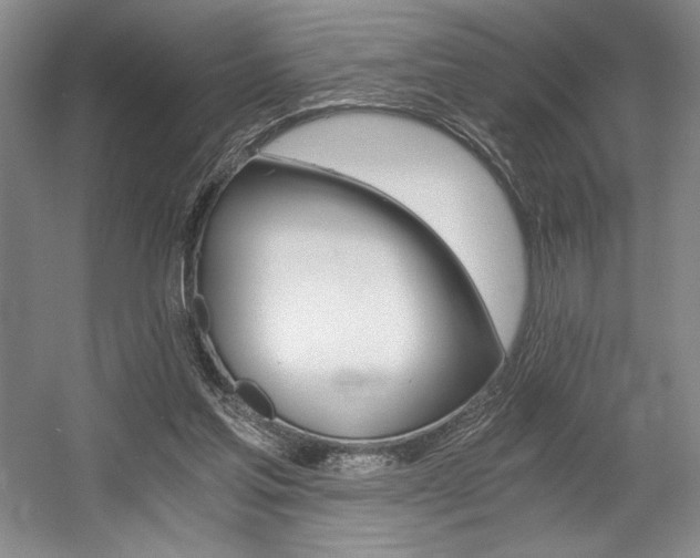 X0000056020205200508191336
