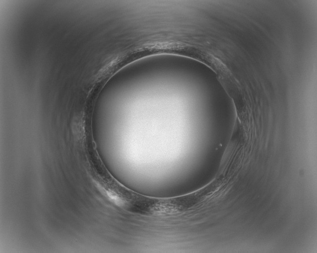 X0000056020207200508191336