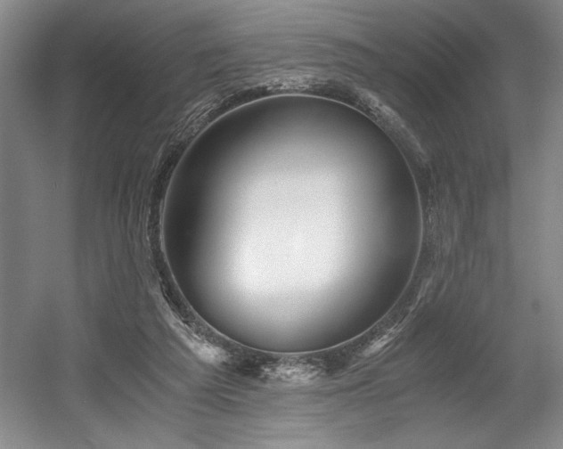 X0000056020209200508191336