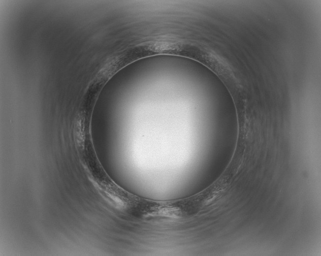 X0000056020210200508191336