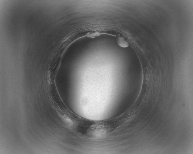 X0000056020211200508191336