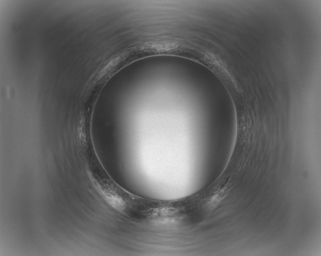 X0000056020212200508191336