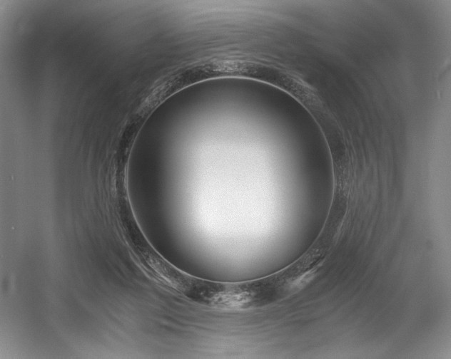 X0000056020213200508191336