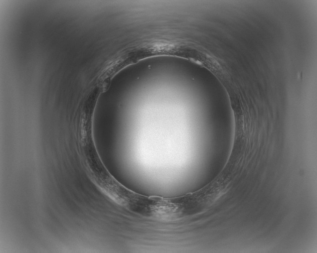 X0000056020215200508191336
