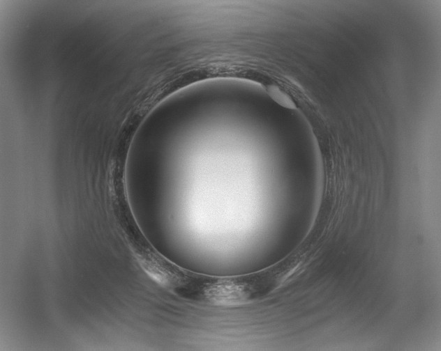 X0000056020217200508191336