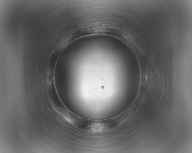 X0000056020218200508191336
