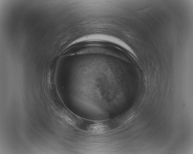 X0000056020219200508191336