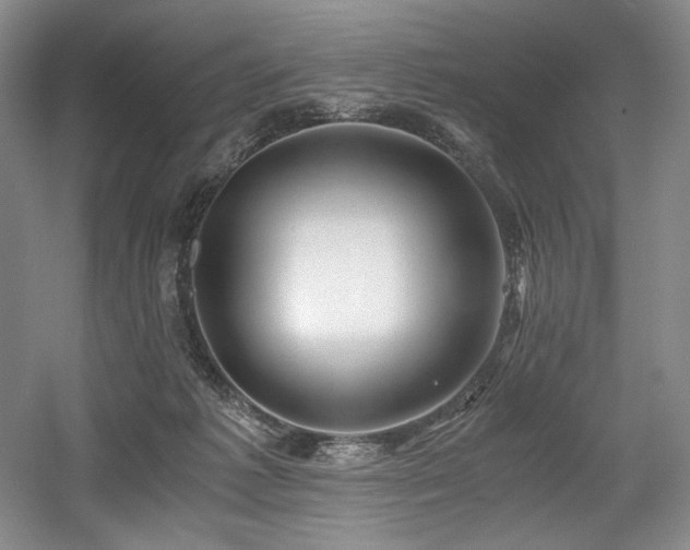 X0000056020221200508191336