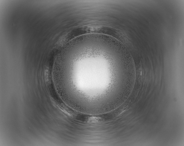 X0000056020222200508191336