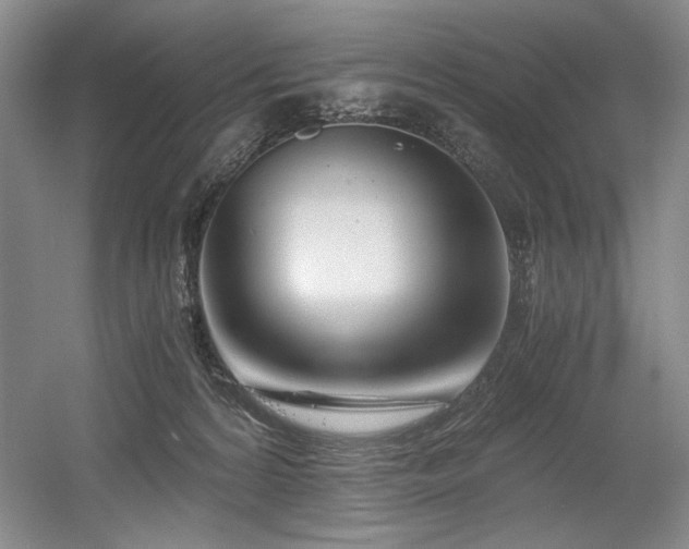 X0000056020224200508191336