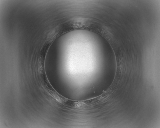 X0000056020226200508191336