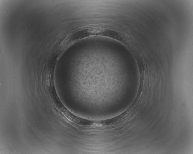 X0000056020227200508191336
