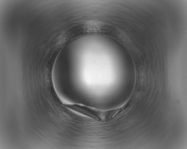 X0000056020228200508191336