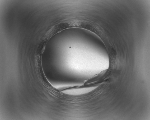 X0000056020229200508191336