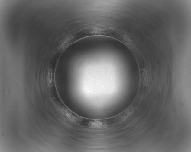 X0000056020230200508191336