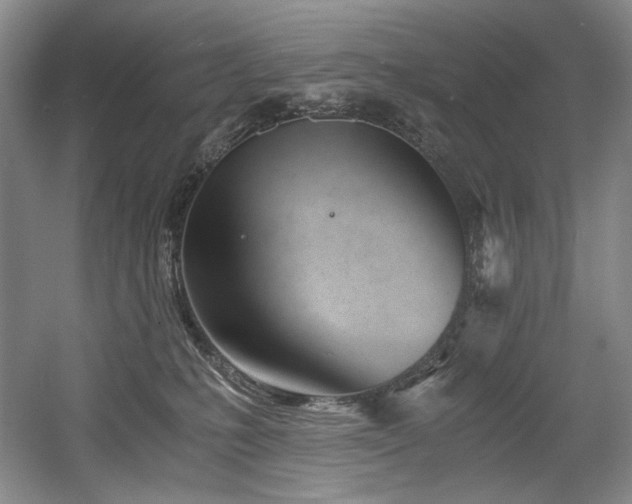 X0000056020231200508191336