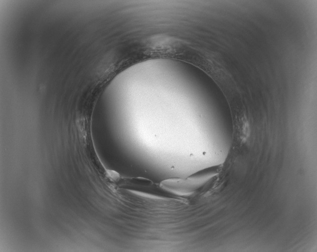 X0000056020232200508191336