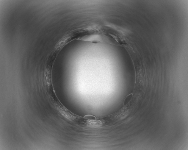 X0000056020234200508191336