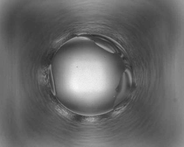 X0000056020237200508191336