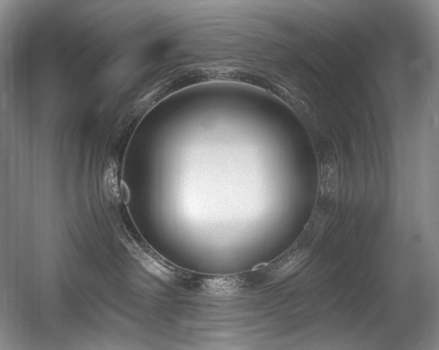 X0000056020238200508191336