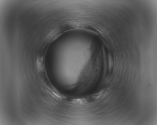 X0000056020239200508191336