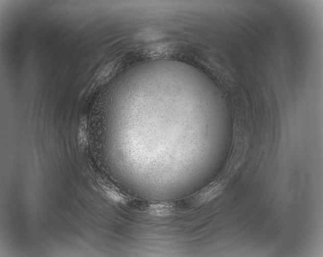 X0000056020240200508191336