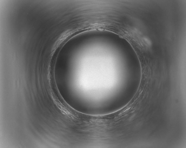 X0000056020242200508191335