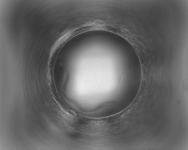 X0000056020245200508191335